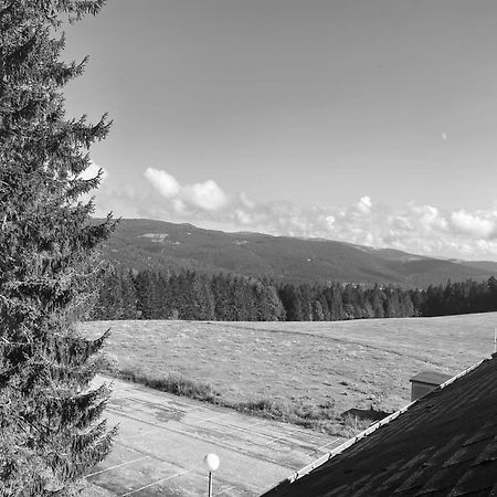 Au P'Tit Nid Douillet De Lea Διαμέρισμα Muhlbach-sur-Munster Εξωτερικό φωτογραφία